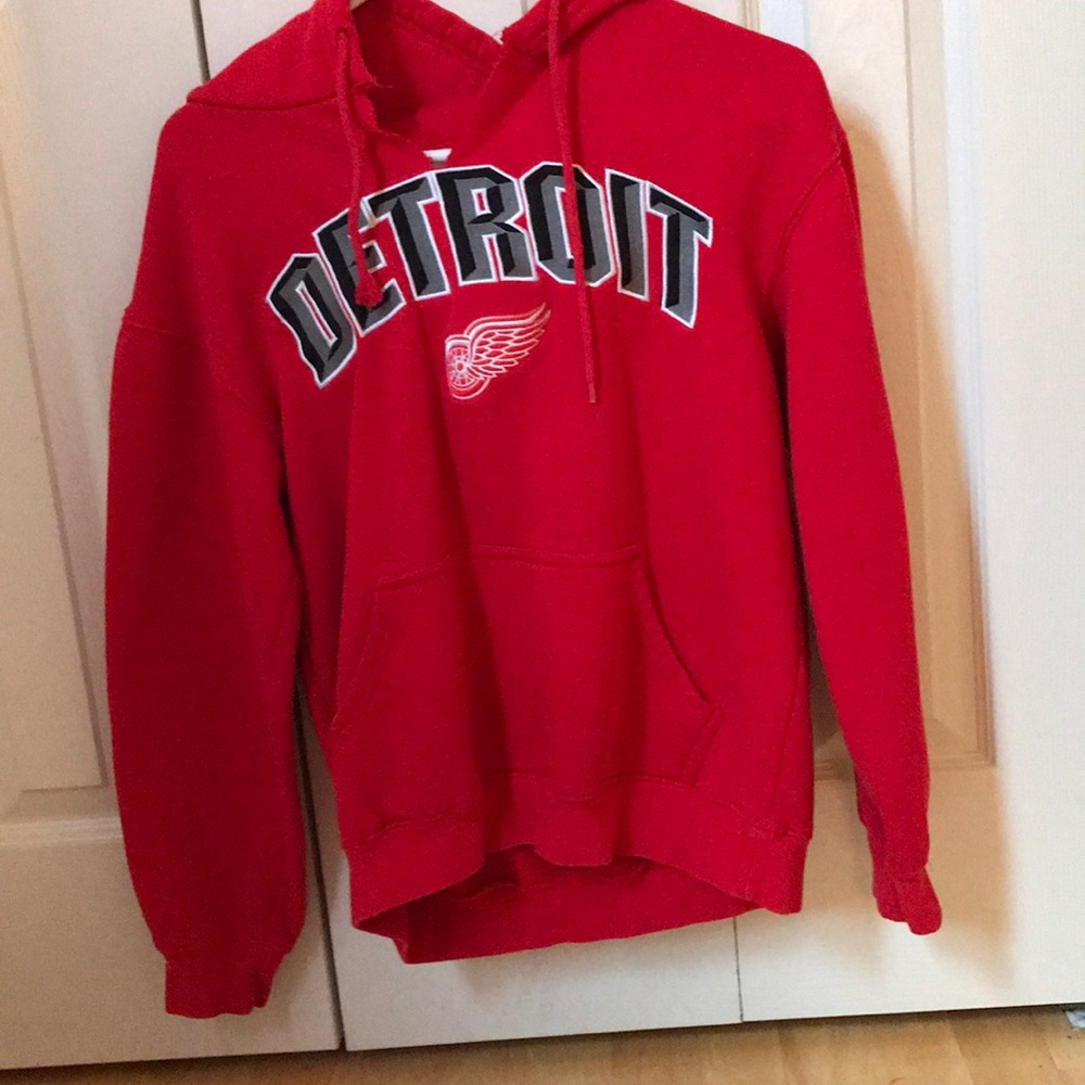 ~vintage redwings hoodie🏒~